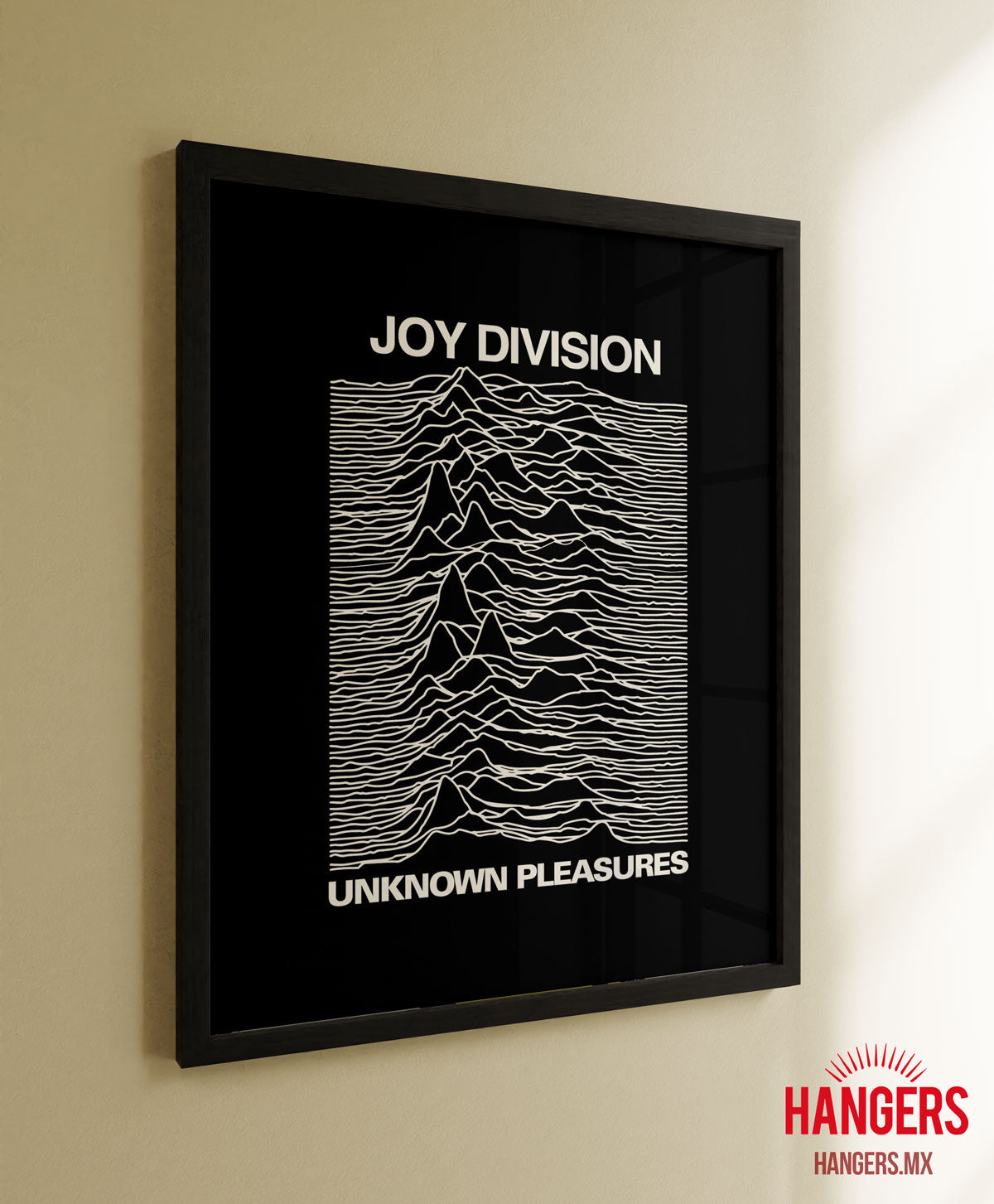 Cuadro Joy Division - Unknow Pleasures