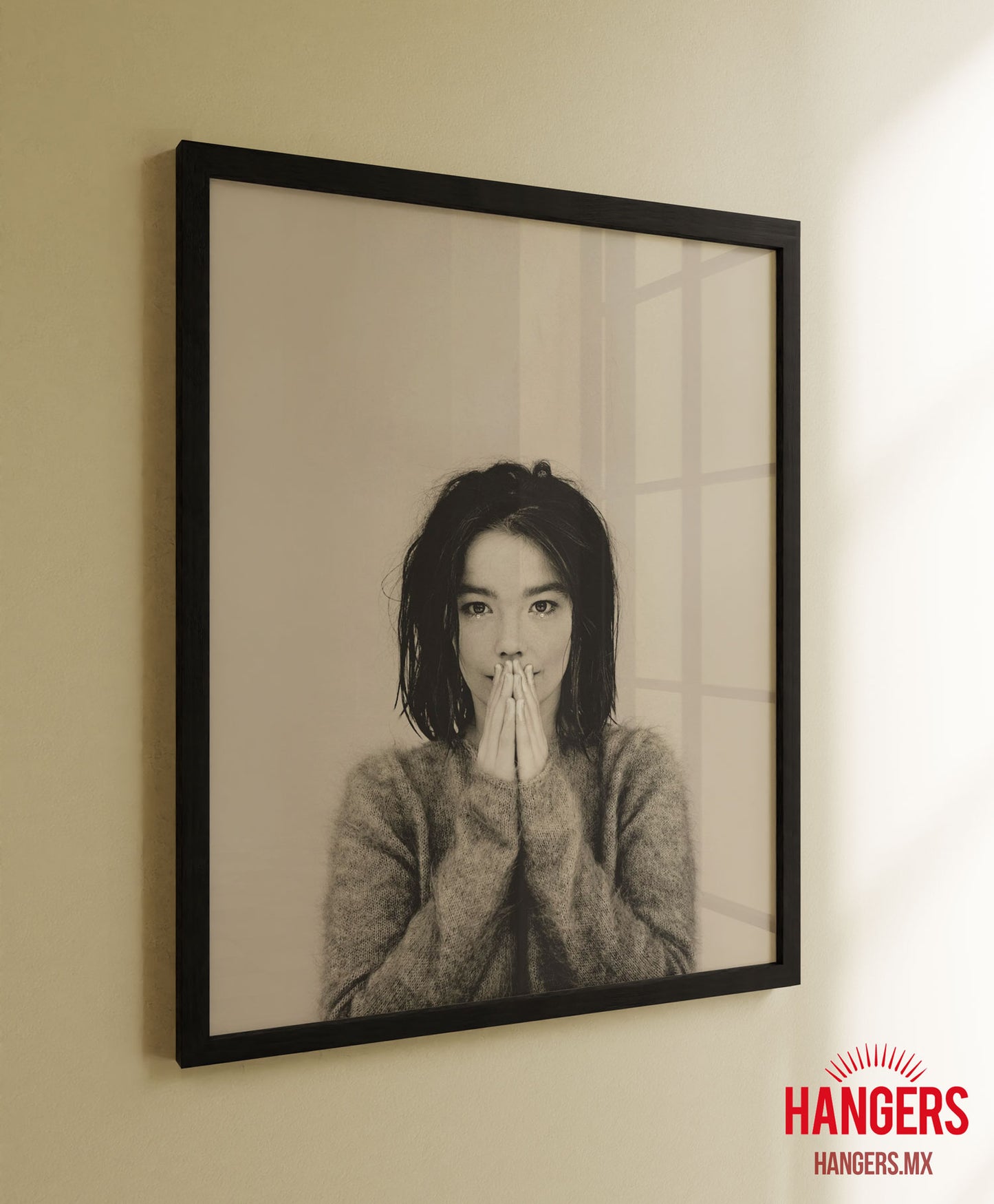 Bjork - Debut
