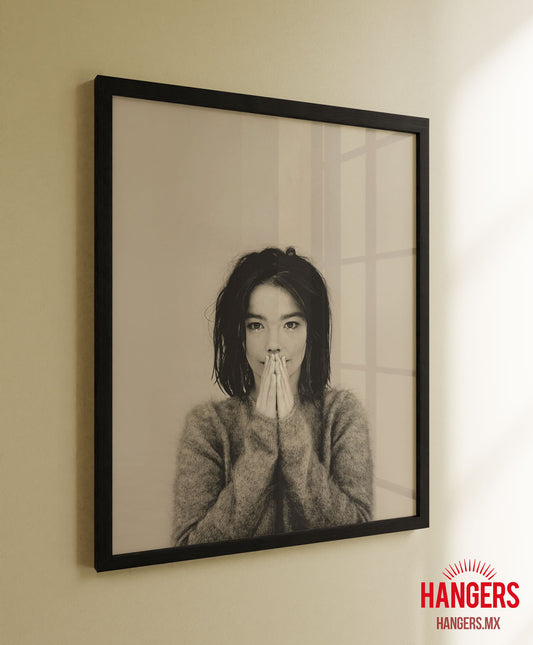 Bjork - Debut
