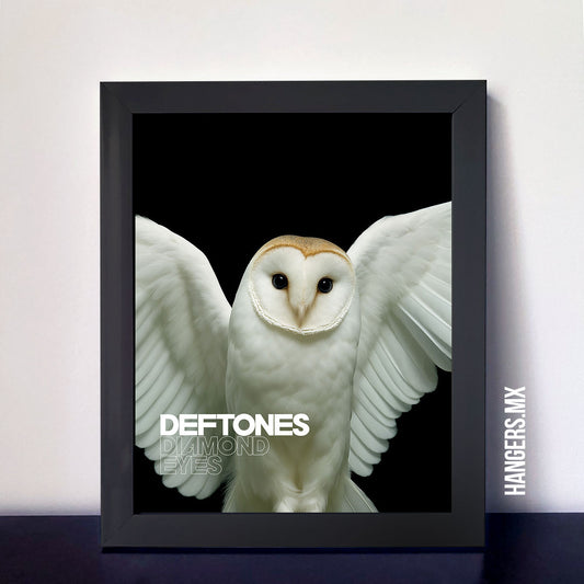 Cuadro Deftones - Diamond Eyes