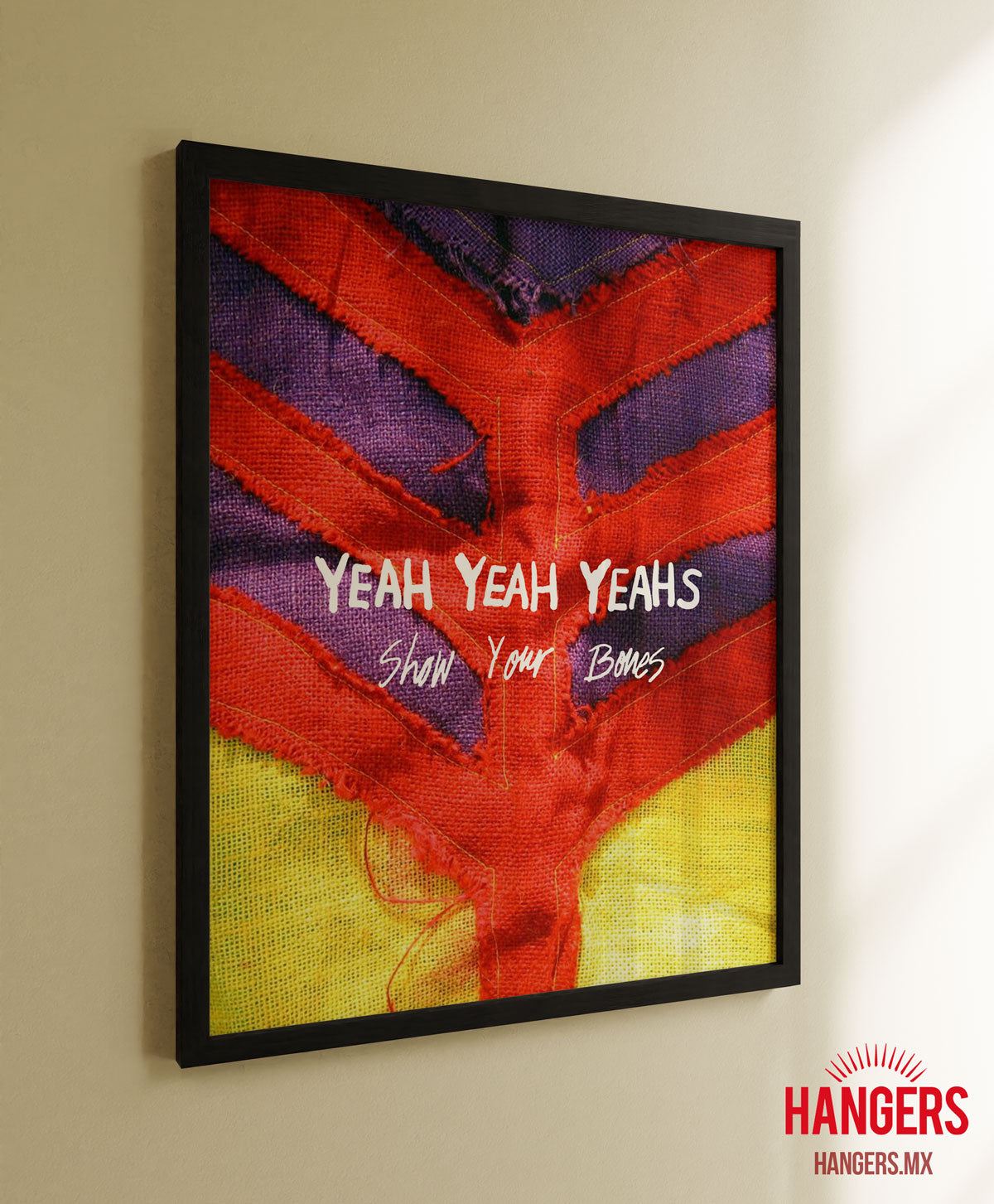 Cuadro Yeah Yeah Yeahs - Show your bones