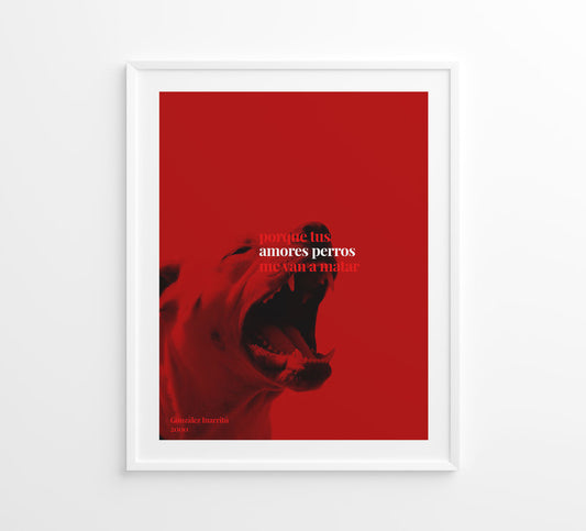 Cuadro Amores Perros - Hangers / Cuadros